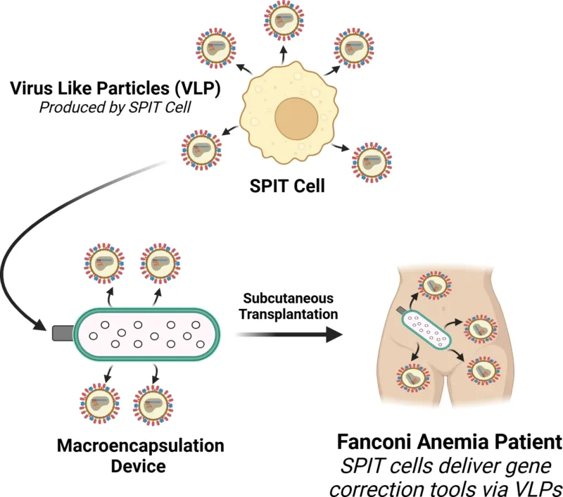 Secreted Particle Information Transfer (SPIT)