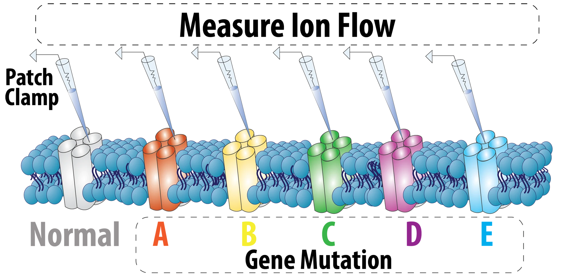 Smith, Richard website graphic